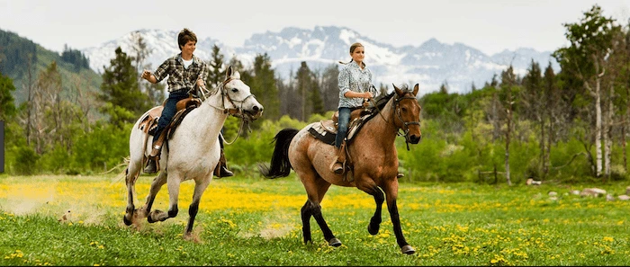 Confident plus-size woman riding Gloucestershire a horse through a field with a smile on her face.